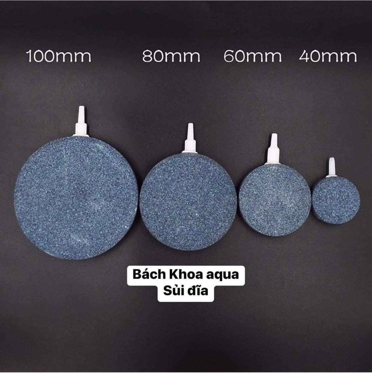 Sủi đĩa thường 2 mặt 4cm - 6cm - 8cm -10cm